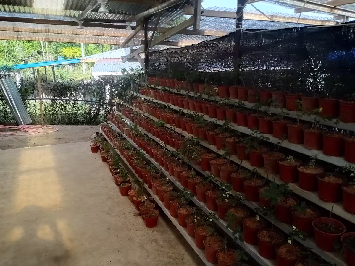 Gambar Cralls Garden