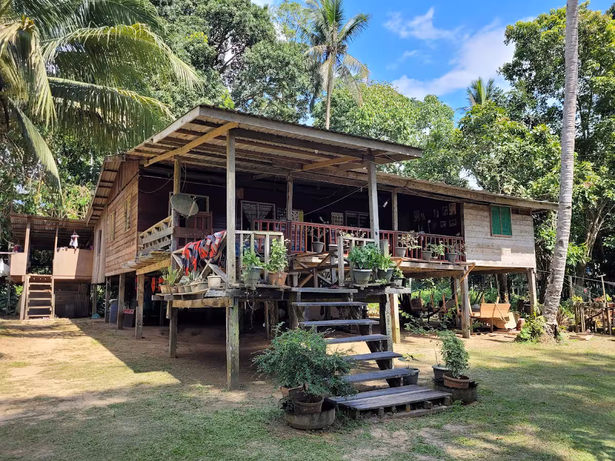 Gambar Sukau Menanggul Homestay