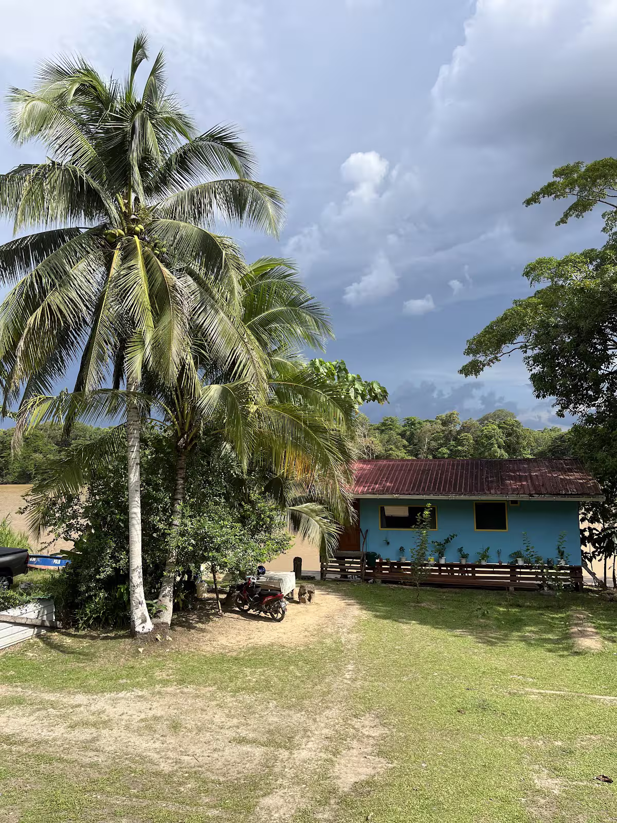 Gambar Sukau River Homestay