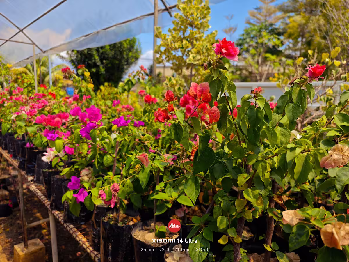 Gambar THN LANDSCAPE SUPPLIES