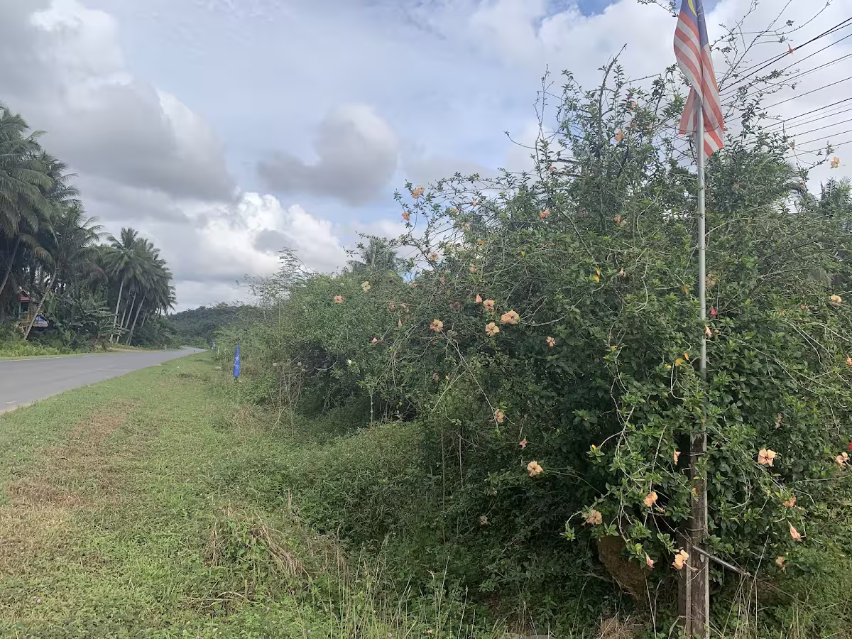 Gambar Seng Lee kampung Paris 1 Kinabatangan